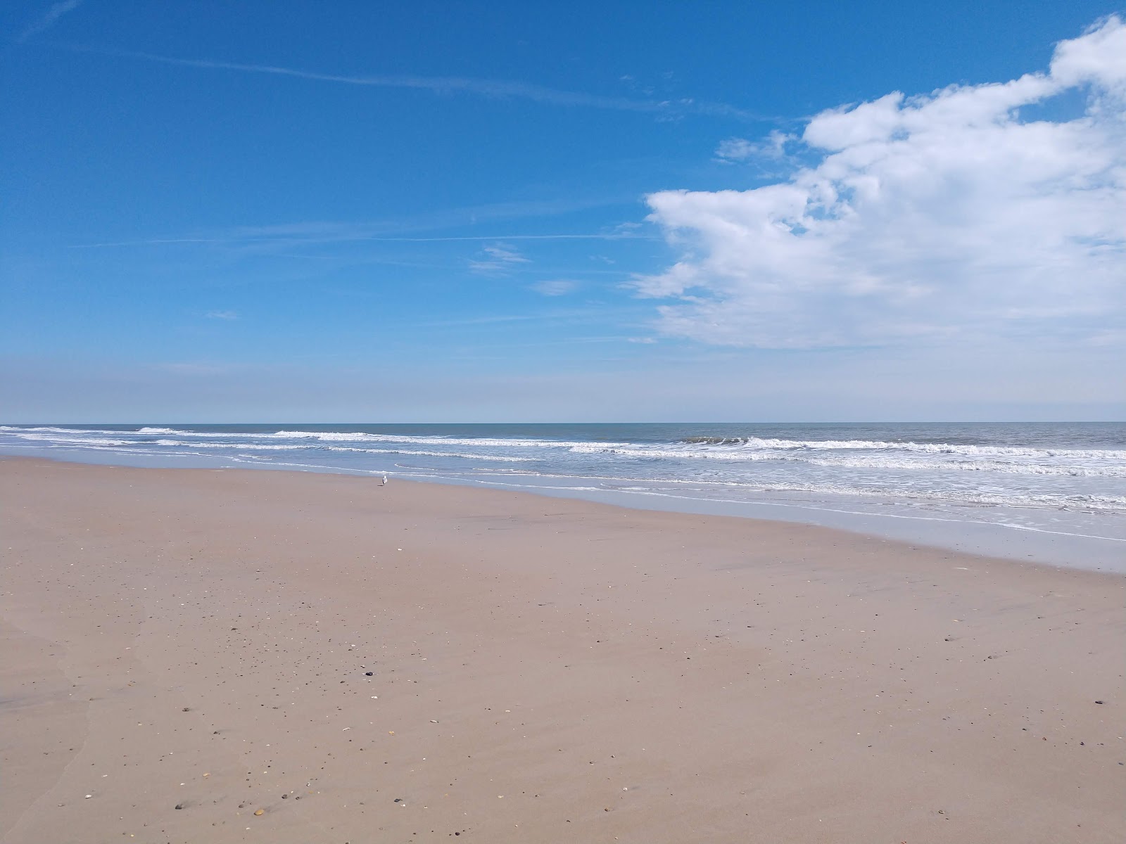 Zdjęcie Sea Haven beach z powierzchnią jasny piasek