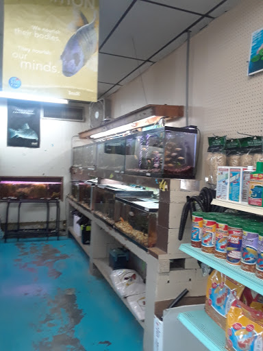 Pet Store «Southside Pet Shop», reviews and photos, 7031 Southside Dr, Louisville, KY 40214, USA