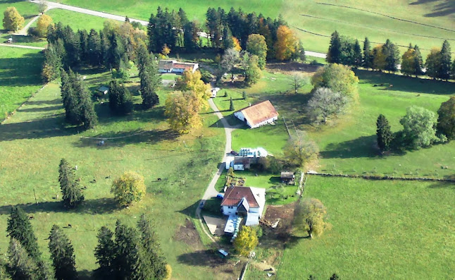 Kommentare und Rezensionen über Chasseral Outdoor