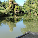 Photo n° 4 de l'avis de chrisylnat. fait le 07/07/2022 à 13:28 pour Embarcadères de Damvix La Grenouille Bleue Balades en barque dans le Marais Poitevin à Damvix