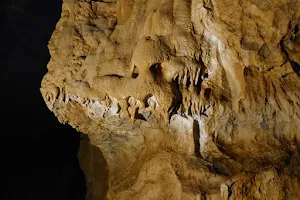 NPP Jaskyňa mŕtvych netopierov image