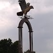 Flight of the Hawk Park