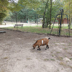 Photo n° 4 de l'avis de Catherine.h fait le 22/07/2023 à 20:39 pour La Haute Touche à Obterre