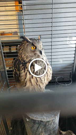 Pet Store «Wildside Pets», reviews and photos, 1042 N Higley Rd #105, Mesa, AZ 85205, USA