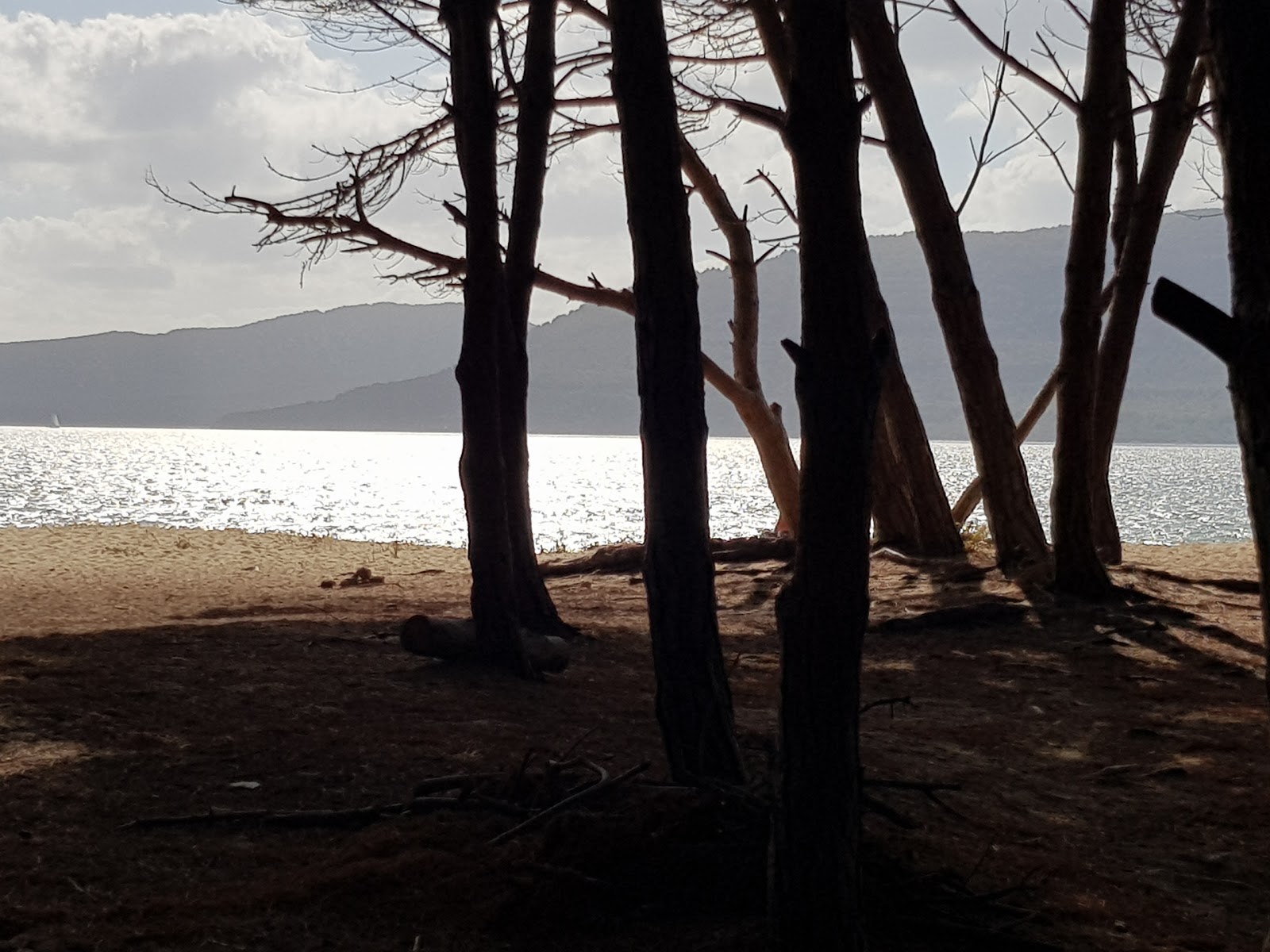 Spiaggia Baia delle Ninfee'in fotoğrafı biraz temiz temizlik seviyesi ile