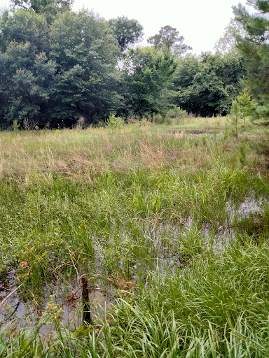 Nature Preserve «Little Cypress Creek Preserve», reviews and photos, Telge Rd & Spring Cypress Rd, Cypress, TX 77429, USA