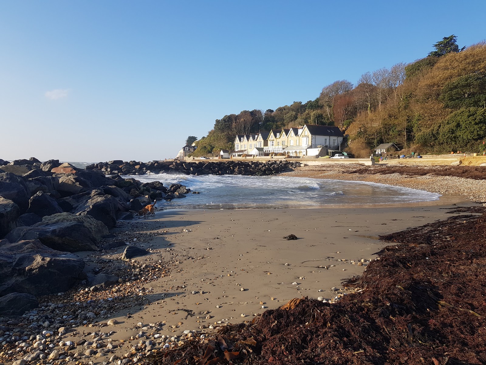 Photo de Monks Bay avec un rivage spacieux