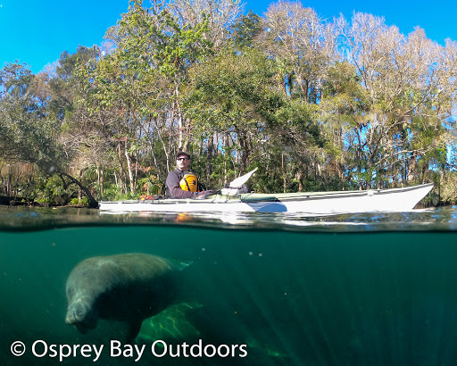 Canoe & Kayak Tour Agency «Osprey Bay Outdoors», reviews and photos, 160 N Belcher Rd, Clearwater, FL 33765, USA