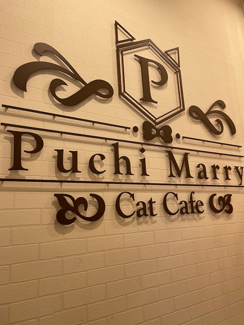 猫カフェ ぷちまりー （Puchi Marry）仙台青葉店