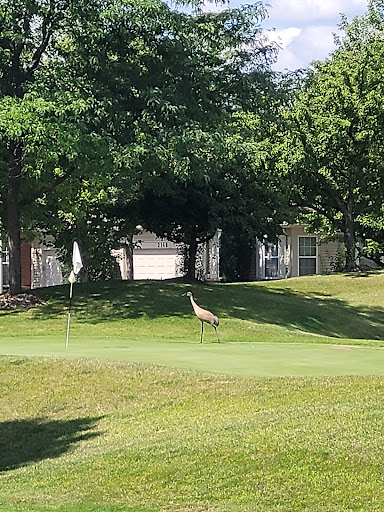 Golf Course «Grayslake Golf Course», reviews and photos, 2150 N Drury Ln, Grayslake, IL 60030, USA