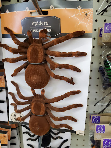 Dollar Store «Dollar Tree», reviews and photos, 11150 Research Blvd, Austin, TX 78759, USA