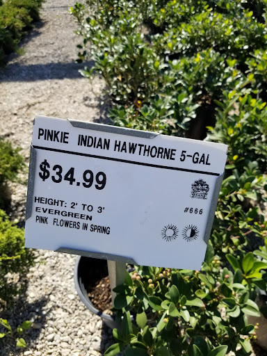 Plant Nursery «Guerin Nursery and Boutique», reviews and photos, 1418 Fall Creek Hwy, Granbury, TX 76049, USA