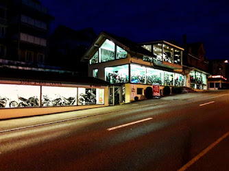 Störi 2-Rad-Center Herisau, Bike Shop