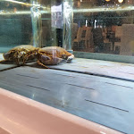 Photo n°3 de l'avis de Federica.u fait le 02/01/2022 à 23:44 sur le  Raffaele Medaglia - Ristorante Pizzeria & Braceria à Sant'Antimo