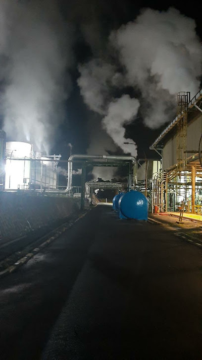 Lahendong Geothermal Power Plant Unit 5 & 6
