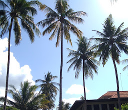 Wahoo Restaurant Hotel Ketapang Indah photo