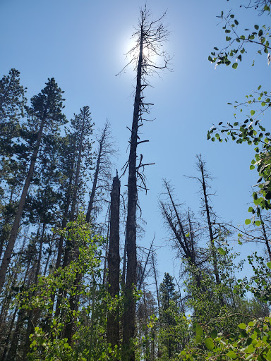 Happy Jack Recreation Area Trailhead
