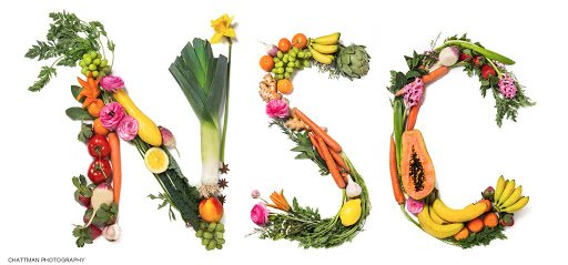 Northampton Survival Center