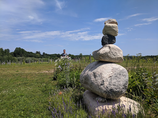 Winery «Walloon Lake Winery», reviews and photos, 3149 Intertown Rd, Petoskey, MI 49770, USA