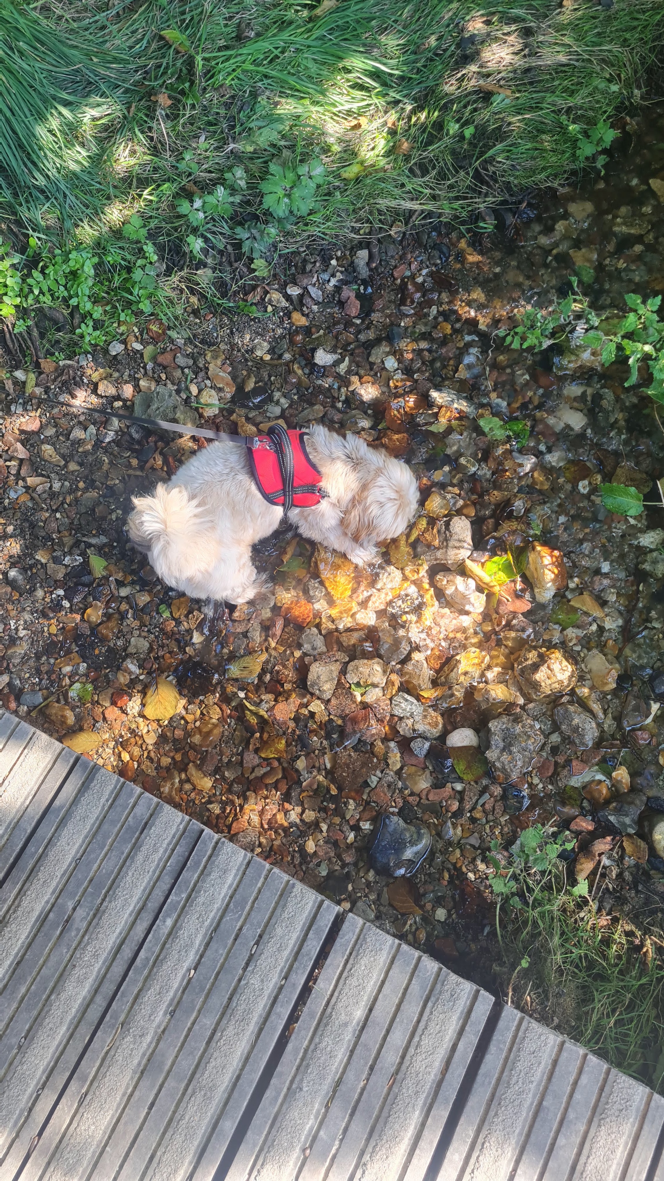 Photo n° 1 de l'avis de Bérengère.e fait le 21/08/2023 à 09:14