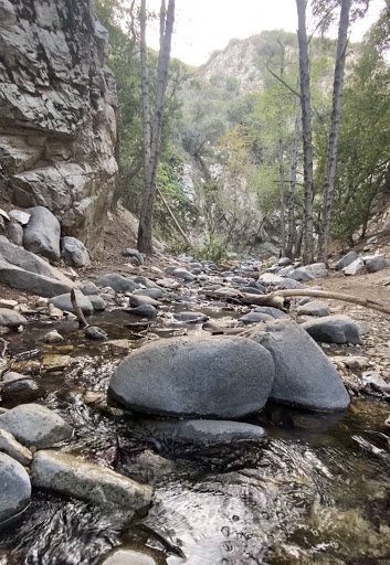 LifeRush Adventures image