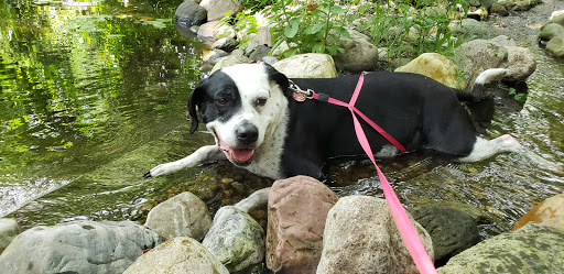 Nature Preserve «Red Oaks Nature Center», reviews and photos, 30300 Hales St, Madison Heights, MI 48071, USA