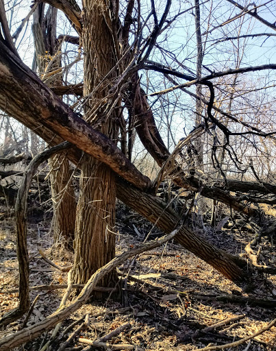 Nature Preserve «Indian Creek Nature Center», reviews and photos, 5300 Otis Rd, Cedar Rapids, IA 52403, USA