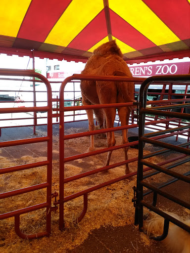 Discount Store «National Wholesale Liquidators», reviews and photos, 370 Essex St, Lodi, NJ 07644, USA