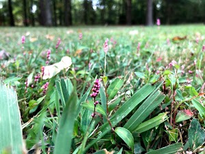 Lakeside Park - photo 51