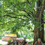 Photo n°6 de l'avis de Martina.a fait le 08/07/2023 à 22:41 sur le  Trattoria Il Toscano à Sulzano