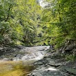 Chautauqua Gorge State Forest