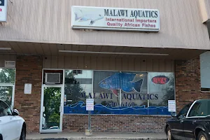 Malawi Aquatics image