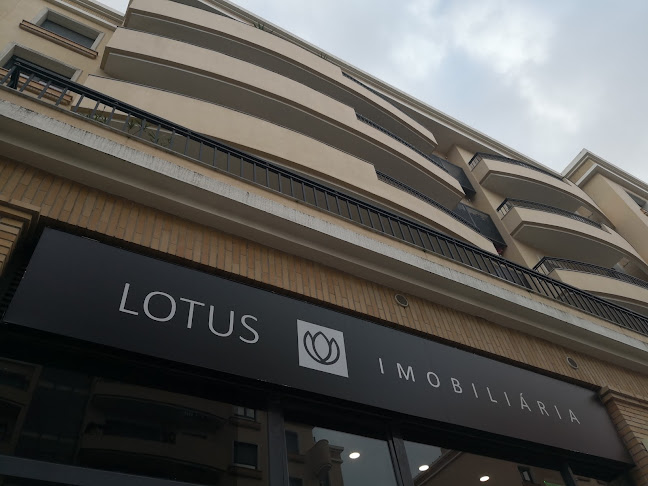 Lotus Imobiliária