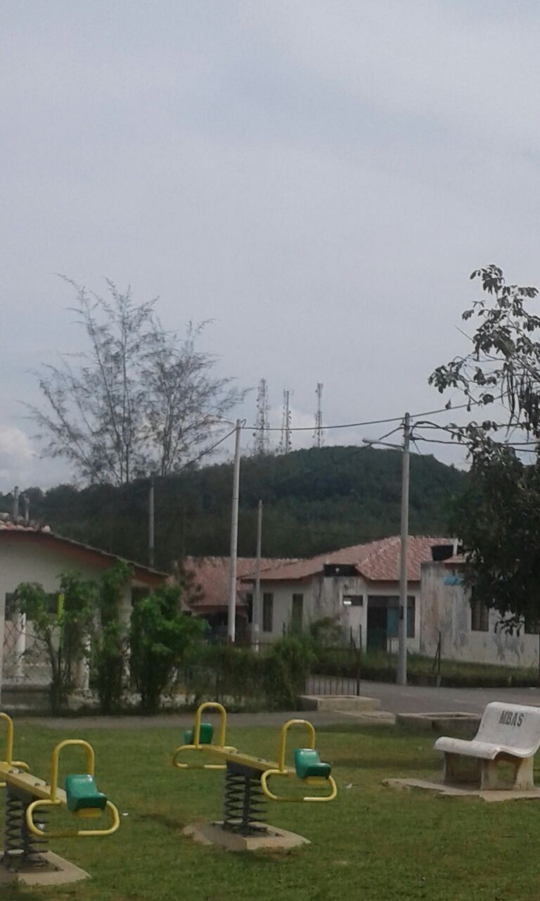 Sekolah Kebangsaan Bintong