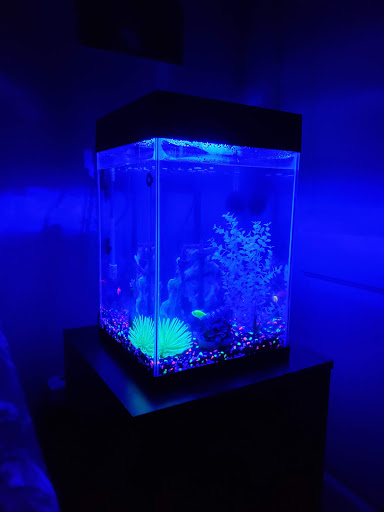 Aquarium & Reptile Depot image