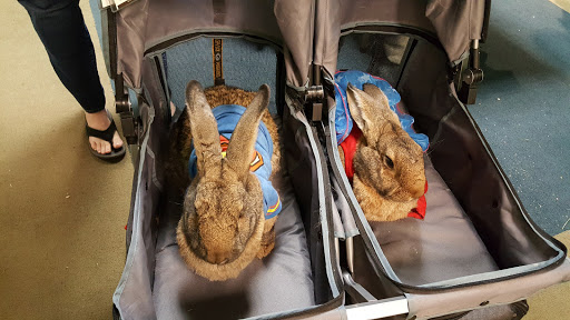 Performing Arts Theater «Northland Performing Arts Center (NPAC)», reviews and photos, 4411 Tamarack Blvd, Columbus, OH 43229, USA