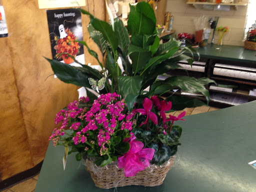 Florist «Pletschers», reviews and photos, 641 Old Hwy 8 SW, New Brighton, MN 55112, USA