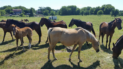 Morton Stables