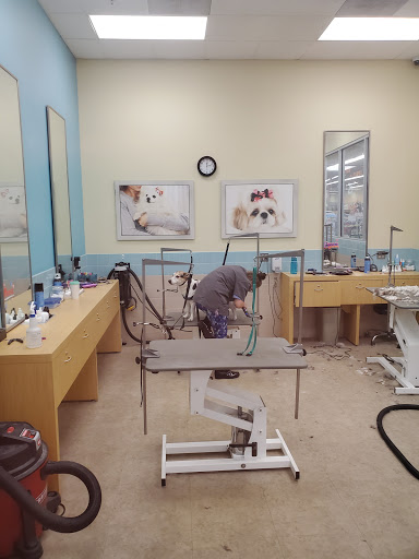 Pet Supply Store «Petco Animal Supplies», reviews and photos, 190 Quality Dr, Hooksett, NH 03106, USA