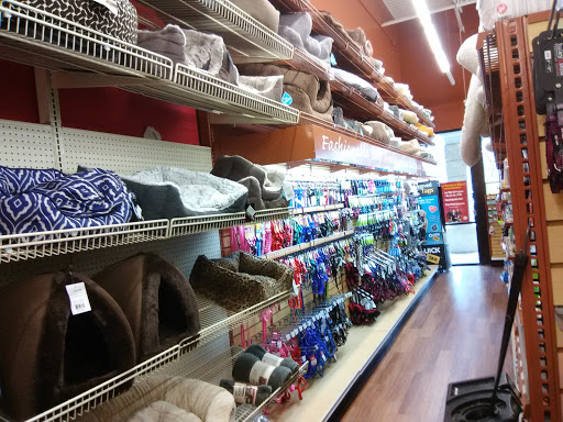 Pet Supply Store «Pet Supermarket», reviews and photos, 465 State Rd 13, Fruit Cove, FL 32259, USA