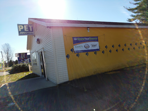 Pet Junction, 146 NH-108, Dover, NH 03820, USA, 
