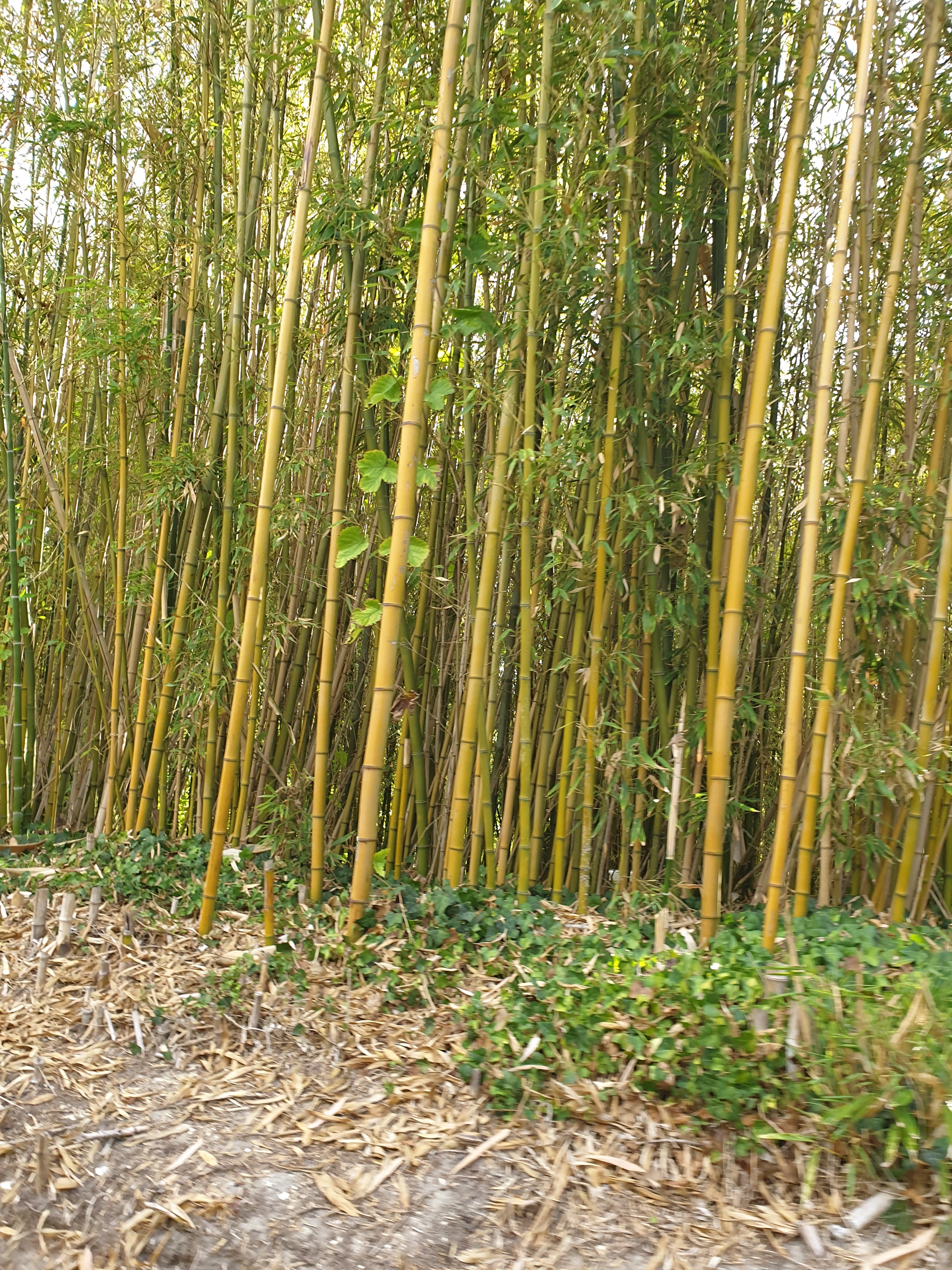Photo n° 1 de l'avis de Fabrice.A fait le 19/08/2020 à 15:21