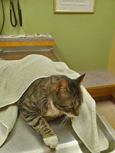 Craig Dunn, DVM image