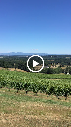 Winery «Sarver Winery», reviews and photos, 25600 Mayola Ln, Eugene, OR 97402, USA