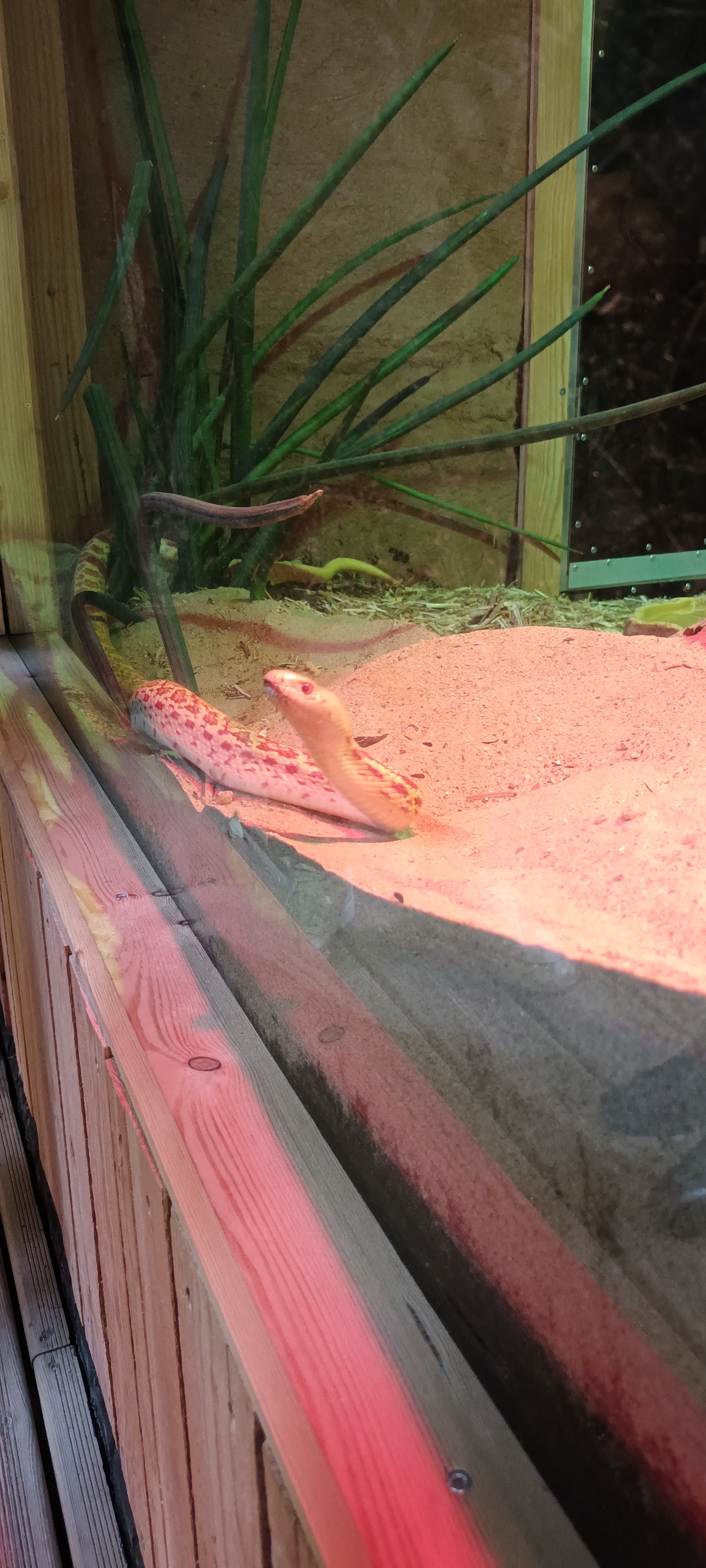 Photo n° 4 de l'avis de Audrey.e fait le 02/03/2022 à 18:32