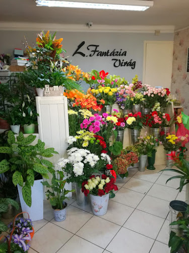 Fantázia virágbolt Léna - Tápióbicske - Tápióbicske