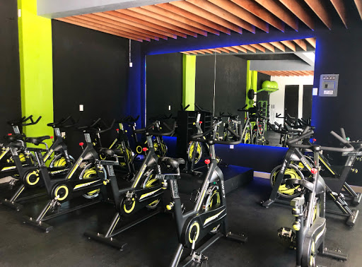 Spin Fit Gym