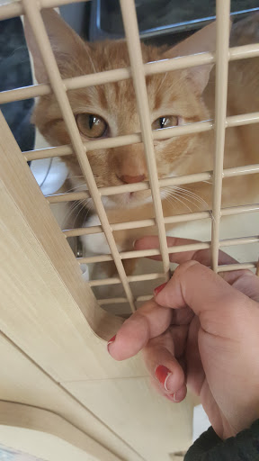 Pet Supply Store «Petco Animal Supplies», reviews and photos, 1400f 75th St, Downers Grove, IL 60516, USA