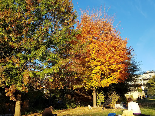 Park «Crispus Attucks Park», reviews and photos, 23 U St NW, Washington, DC 20001, USA