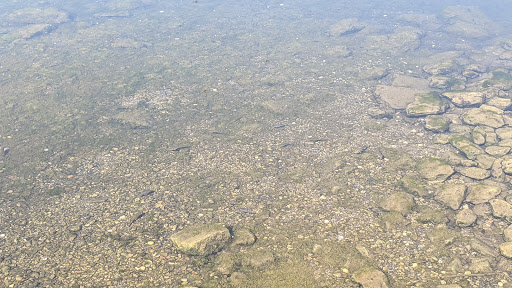 Park «Lake Park», reviews and photos, 2100-2198 Lee St, Des Plaines, IL 60018, USA